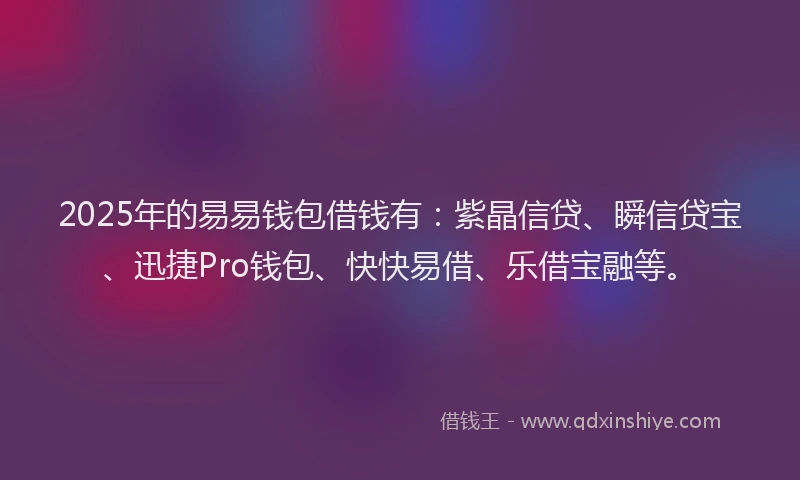 2025年的易易钱包借钱有：紫晶信贷、瞬信贷宝、迅捷Pro钱包、快快易借、乐借宝融等。