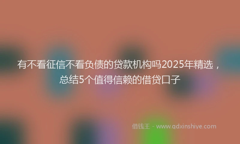 有不看征信不看负债的贷款机构吗2025年精选，总结5个值得信赖的借贷口子