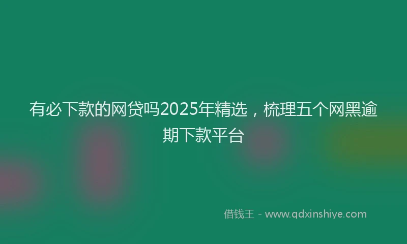 有必下款的网贷吗2025年精选，梳理五个网黑逾期下款平台