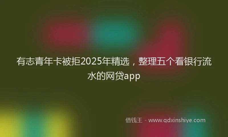 有志青年卡被拒2025年精选，整理五个看银行流水的网贷app