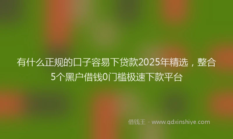 有什么正规的口子容易下贷款2025年精选，整合5个黑户借钱0门槛极速下款平台