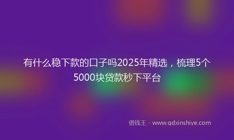 有什么稳下款的口子吗2025年精选，梳理5个5000块贷款秒下平台