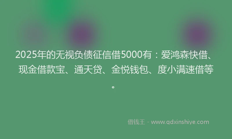 2025年的无视负债征信借5000有：爱鸿森快借、现金借款宝、通天贷、金悦钱包、度小满速借等。