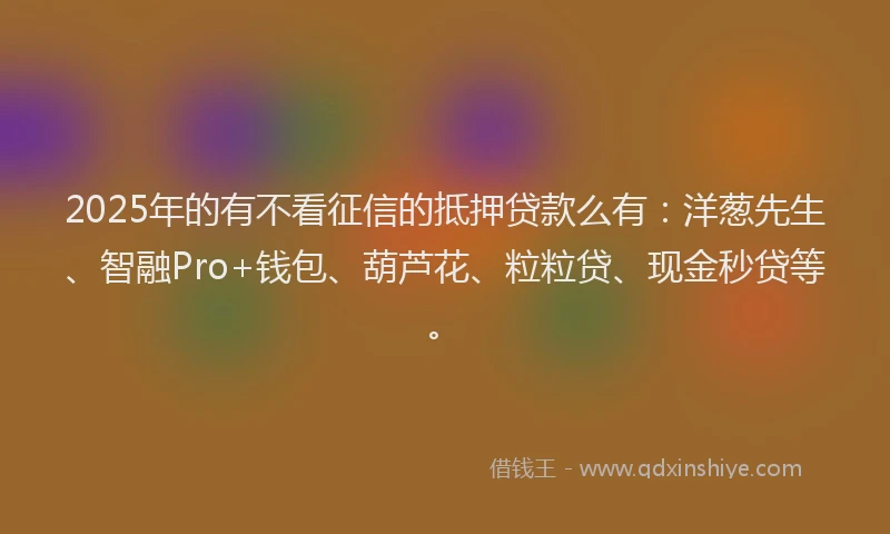 2025年的有不看征信的抵押贷款么有：洋葱先生、智融Pro+钱包、葫芦花、粒粒贷、现金秒贷等。