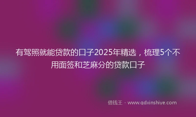 有驾照就能贷款的口子2025年精选，梳理5个不用面签和芝麻分的贷款口子