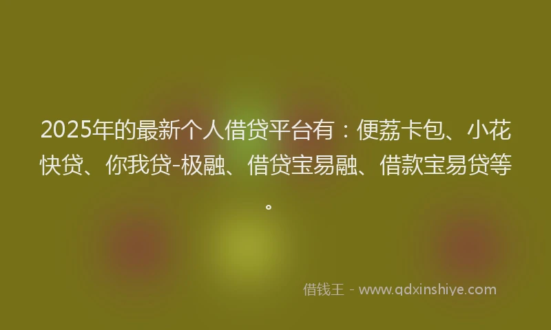 2025年的最新个人借贷平台有：便荔卡包、小花快贷、你我贷-极融、借贷宝易融、借款宝易贷等。