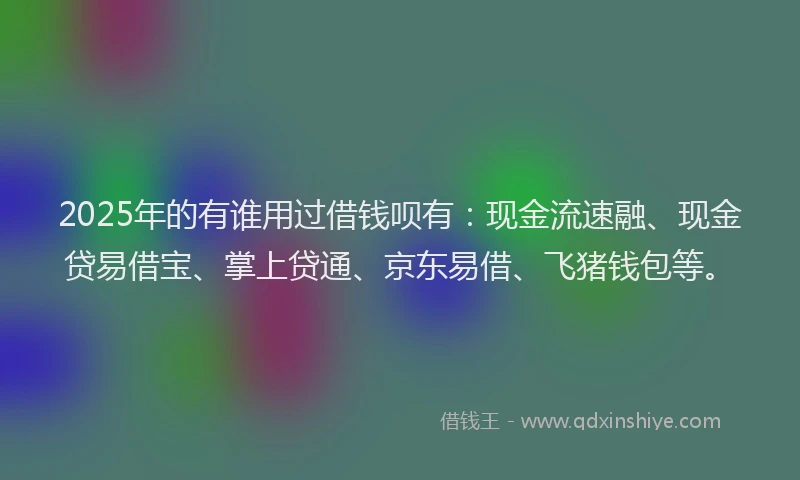 2025年的有谁用过借钱呗有：现金流速融、现金贷易借宝、掌上贷通、京东易借、飞猪钱包等。