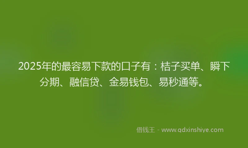 2025年的最容易下款的口子有：桔子买单、瞬下分期、融信贷、金易钱包、易秒通等。