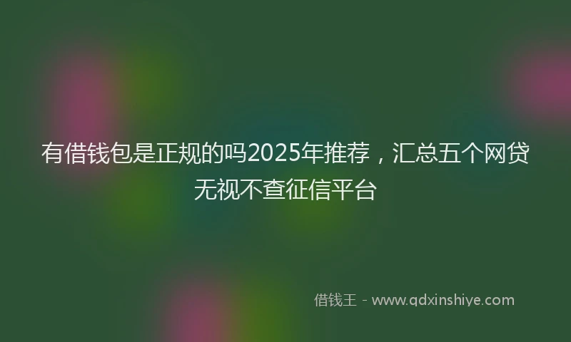 有借钱包是正规的吗2025年推荐，汇总五个网贷无视不查征信平台