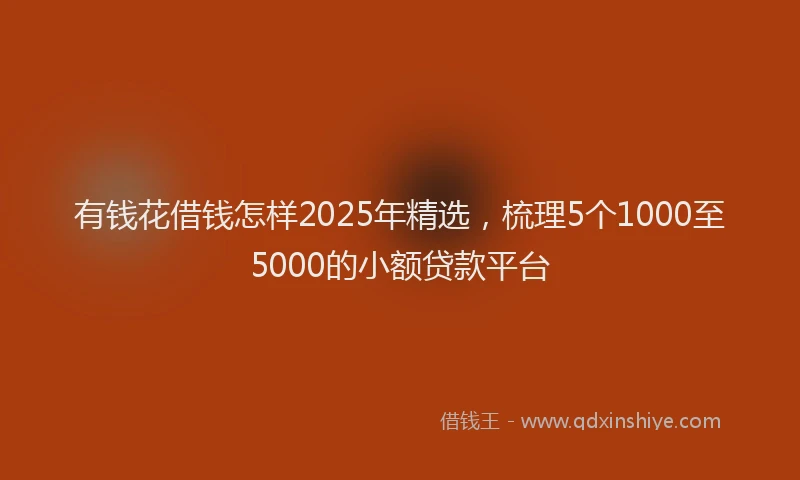 有钱花借钱怎样2025年精选，梳理5个1000至5000的小额贷款平台