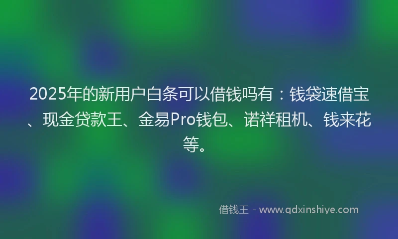 2025年的新用户白条可以借钱吗有：钱袋速借宝、现金贷款王、金易Pro钱包、诺祥租机、钱来花等。