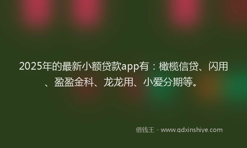 2025年的最新小额贷款app有：橄榄信贷、闪用、盈盈金科、龙龙用、小爱分期等。