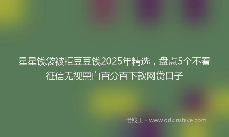 星星钱袋被拒豆豆钱2025年精选，盘点5个不看征信无视黑白百分百下款网贷口子