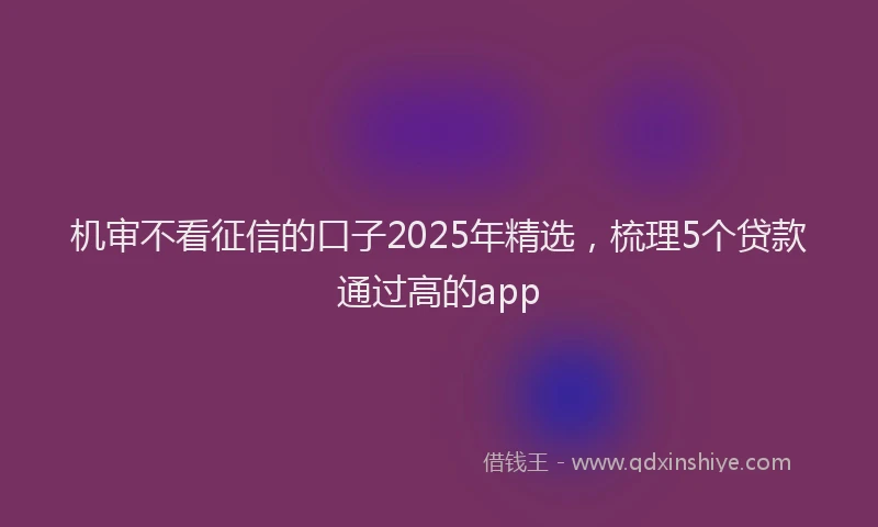 机审不看征信的口子2025年精选，梳理5个贷款通过高的app