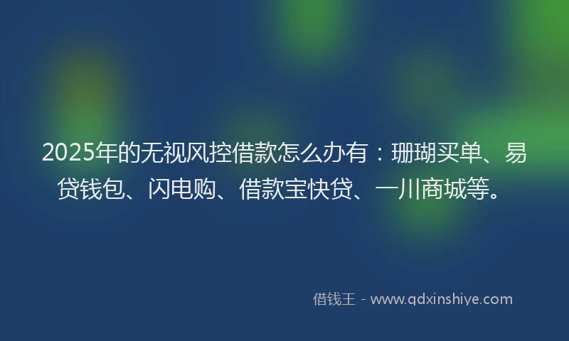 2025年的无视风控借款怎么办有：珊瑚买单、易贷钱包、闪电购、借款宝快贷、一川商城等。