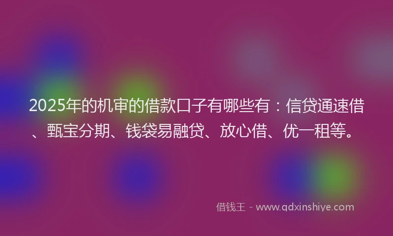 2025年的机审的借款口子有哪些有：信贷通速借、甄宝分期、钱袋易融贷、放心借、优一租等。