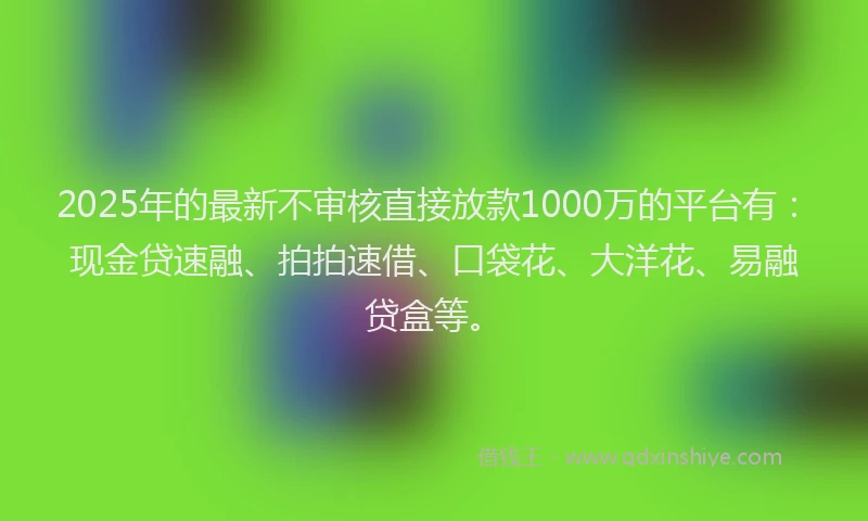 2025年的最新不审核直接放款1000万的平台有：现金贷速融、拍拍速借、口袋花、大洋花、易融贷盒等。
