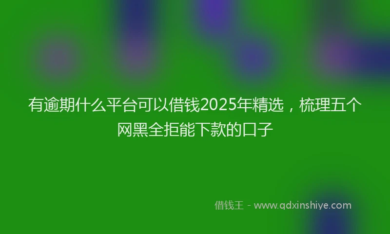 有逾期什么平台可以借钱2025年精选，梳理五个网黑全拒能下款的口子