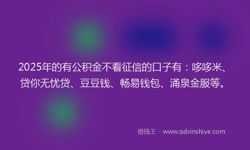 2025年的有公积金不看征信的口子有：哆哆米、贷你无忧贷、豆豆钱、畅易钱包、涌泉金服等。