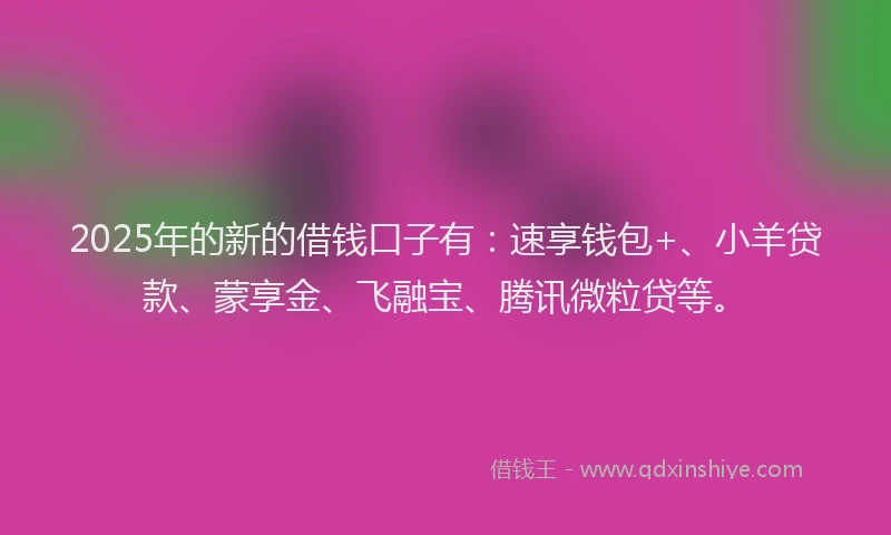 2025年的新的借钱口子有：速享钱包+、小羊贷款、蒙享金、飞融宝、腾讯微粒贷等。