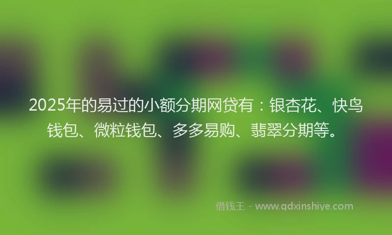 2025年的易过的小额分期网贷有：银杏花、快鸟钱包、微粒钱包、多多易购、翡翠分期等。