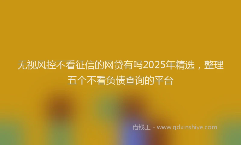 无视风控不看征信的网贷有吗2025年精选，整理五个不看负债查询的平台