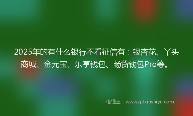2025年的有什么银行不看征信有：银杏花、丫头商城、金元宝、乐享钱包、畅贷钱包Pro等。