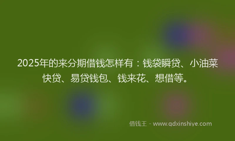 2025年的来分期借钱怎样有：钱袋瞬贷、小油菜快贷、易贷钱包、钱来花、想借等。