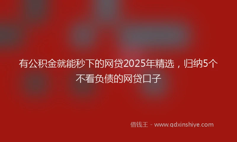 有公积金就能秒下的网贷2025年精选，归纳5个不看负债的网贷口子