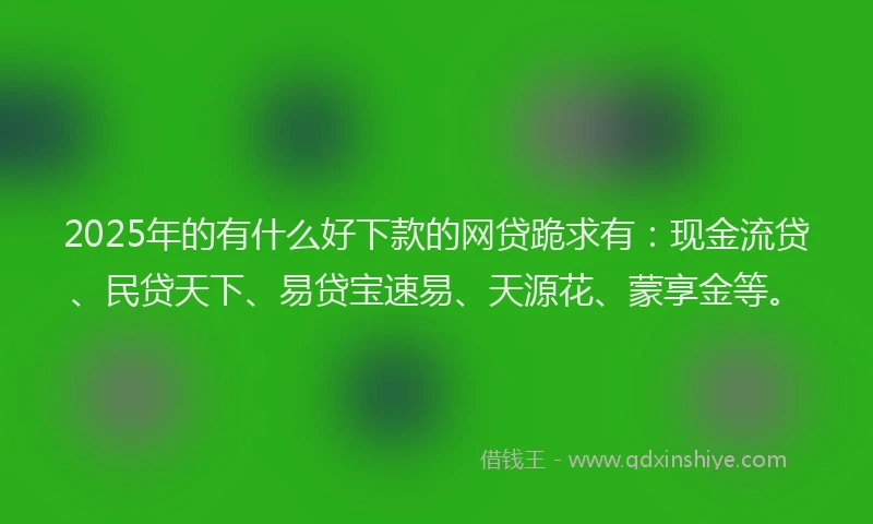 2025年的有什么好下款的网贷跪求有：现金流贷、民贷天下、易贷宝速易、天源花、蒙享金等。