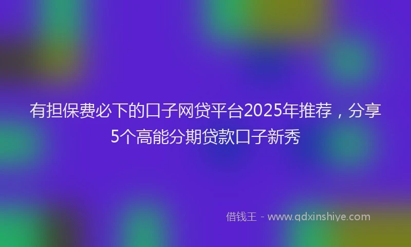 有担保费必下的口子网贷平台2025年推荐，分享5个高能分期贷款口子新秀