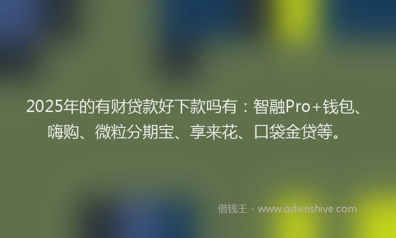 2025年的有财贷款好下款吗有：智融Pro+钱包、嗨购、微粒分期宝、享来花、口袋金贷等。