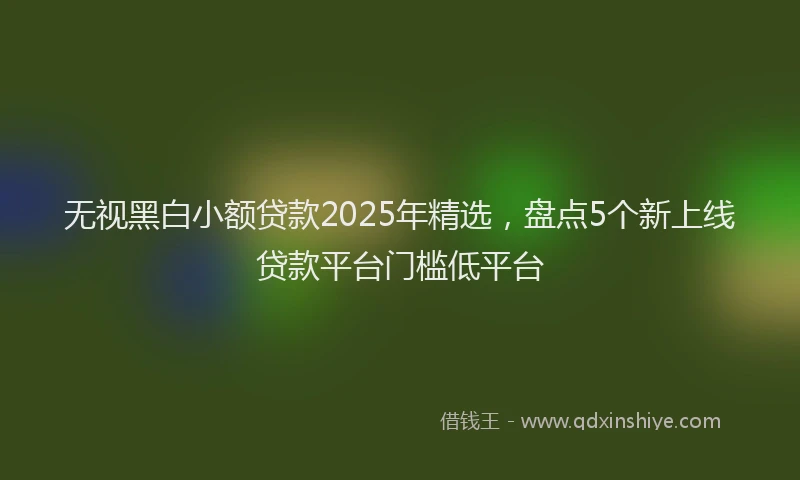 无视黑白小额贷款2025年精选，盘点5个新上线贷款平台门槛低平台