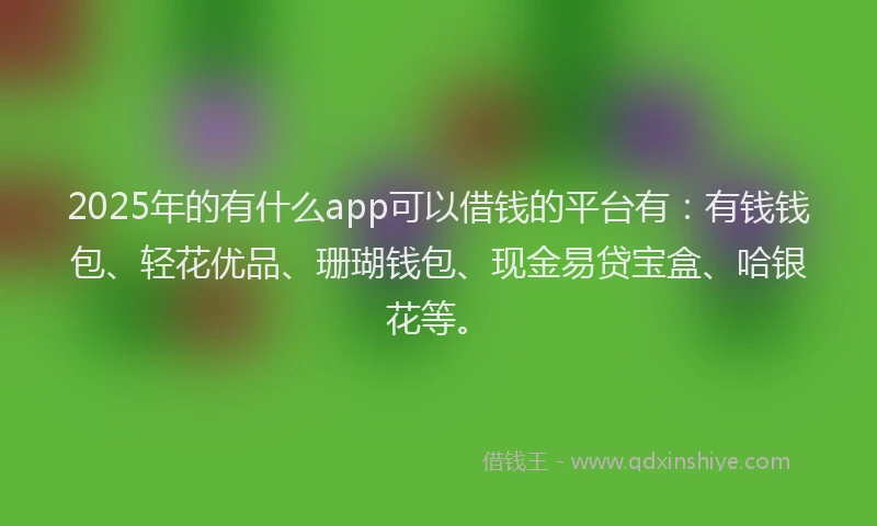 2025年的有什么app可以借钱的平台有：有钱钱包、轻花优品、珊瑚钱包、现金易贷宝盒、哈银花等。