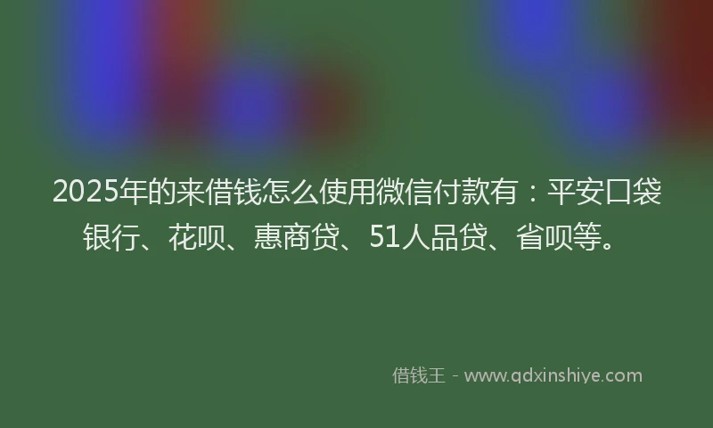 2025年的来借钱怎么使用微信付款有：平安口袋银行、花呗、惠商贷、51人品贷、省呗等。