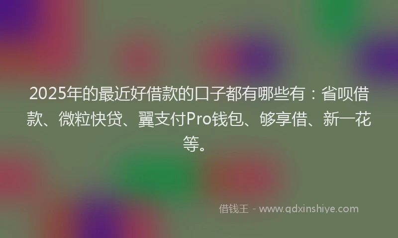 2025年的最近好借款的口子都有哪些有：省呗借款、微粒快贷、翼支付Pro钱包、够享借、新一花等。
