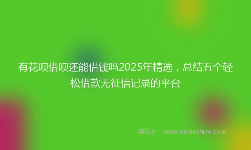 有花呗借呗还能借钱吗2025年精选，总结五个轻松借款无征信记录的平台