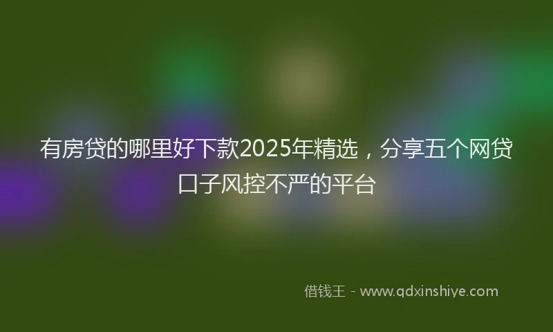 有房贷的哪里好下款2025年精选，分享五个网贷口子风控不严的平台