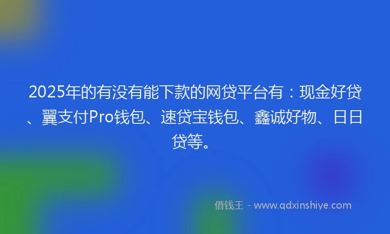 2025年的有没有能下款的网贷平台有：现金好贷、翼支付Pro钱包、速贷宝钱包、鑫诚好物、日日贷等。