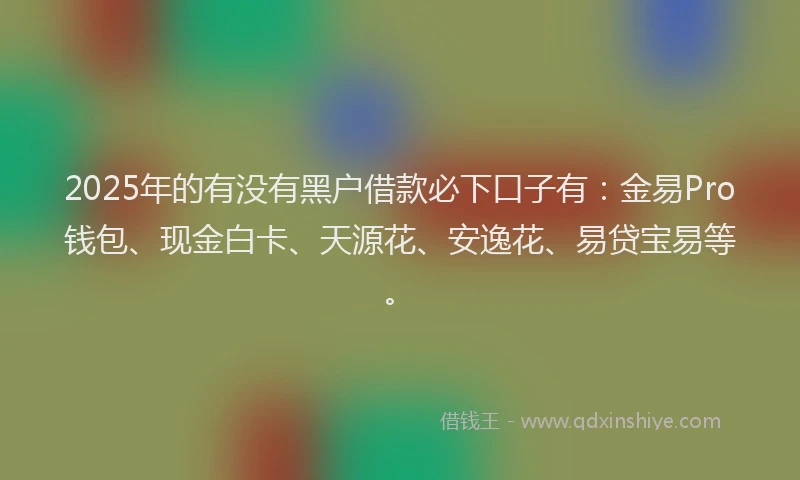 2025年的有没有黑户借款必下口子有：金易Pro钱包、现金白卡、天源花、安逸花、易贷宝易等。