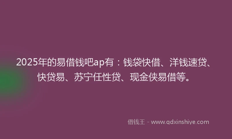 2025年的易借钱吧ap有：钱袋快借、洋钱速贷、快贷易、苏宁任性贷、现金侠易借等。