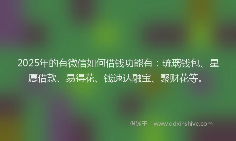 2025年的有微信如何借钱功能有：琉璃钱包、星愿借款、易得花、钱速达融宝、聚财花等。