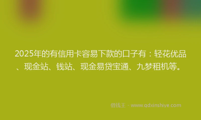 2025年的有信用卡容易下款的口子有：轻花优品、现金站、钱站、现金易贷宝通、九梦租机等。