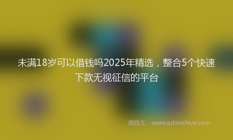 未满18岁可以借钱吗2025年精选，整合5个快速下款无视征信的平台