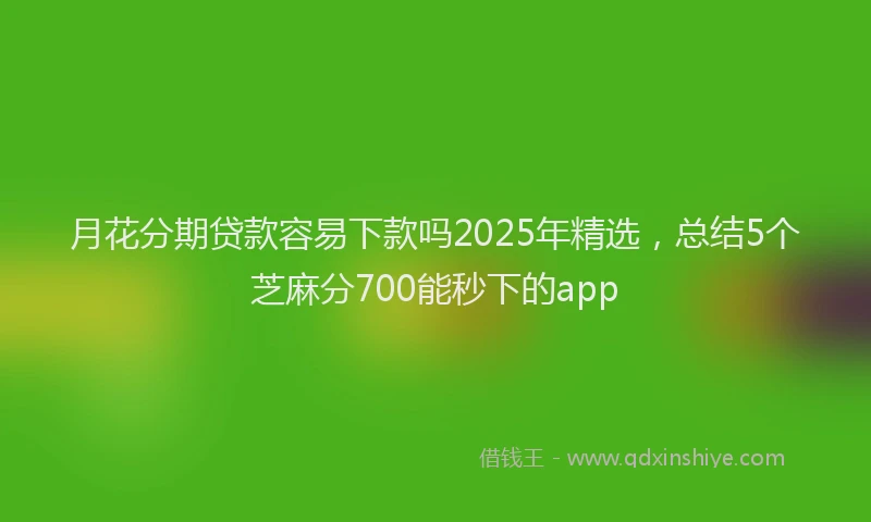 月花分期贷款容易下款吗2025年精选，总结5个芝麻分700能秒下的app