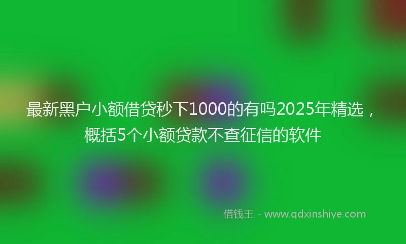 最新黑户小额借贷秒下1000的有吗2025年精选，概括5个小额贷款不查征信的软件