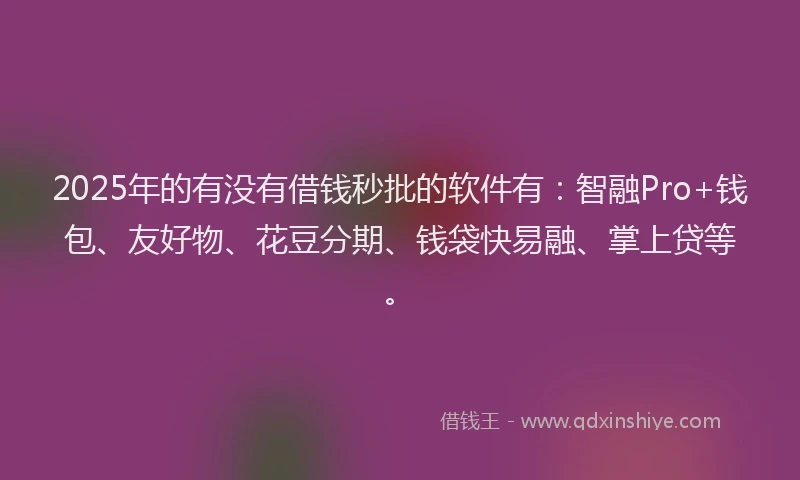 2025年的有没有借钱秒批的软件有：智融Pro+钱包、友好物、花豆分期、钱袋快易融、掌上贷等。