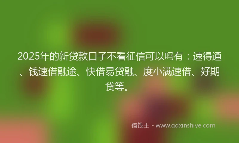 2025年的新贷款口子不看征信可以吗有：速得通、钱速借融途、快借易贷融、度小满速借、好期贷等。