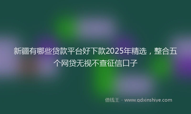 新疆有哪些贷款平台好下款2025年精选，整合五个网贷无视不查征信口子