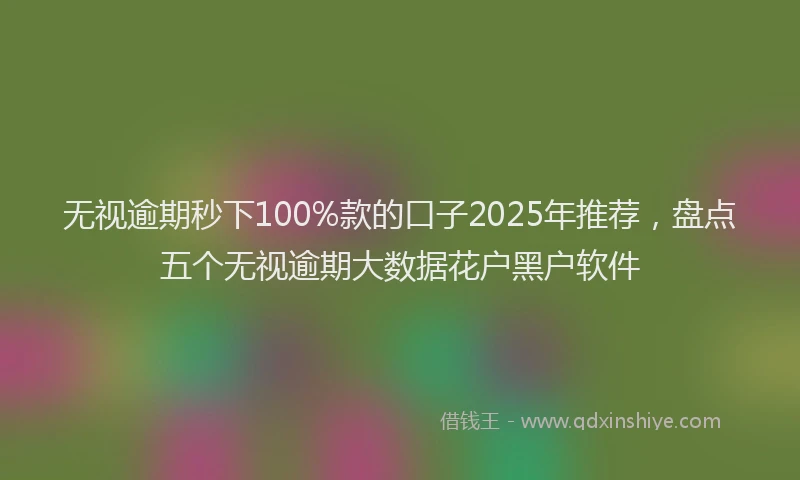无视逾期秒下100%款的口子2025年推荐，盘点五个无视逾期大数据花户黑户软件